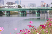中川運河