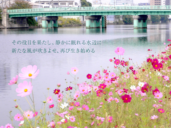 写真2